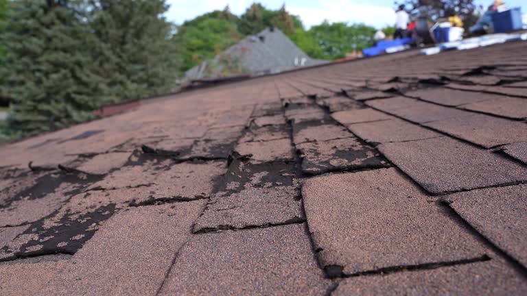  Ben Lomond, CA Roofing Service Pros