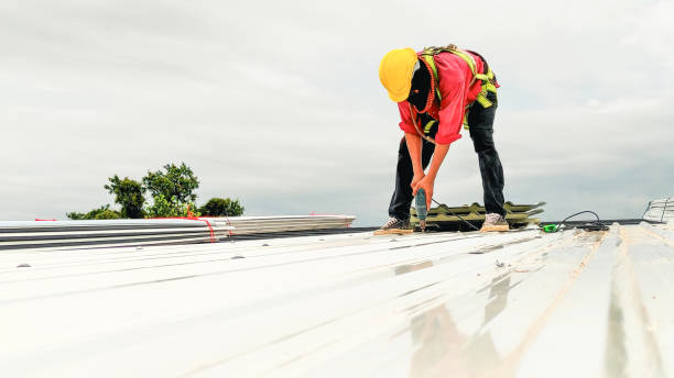 Best Roof Insulation Installation  in Ben Lomond, CA