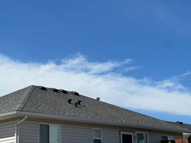 Best Solar Panel Roofing Installation  in Ben Lomond, CA